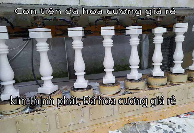 ​con tien da hoa cuong​