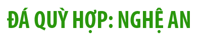 Logo đá hoa cương KIM THỊNH PHÁT